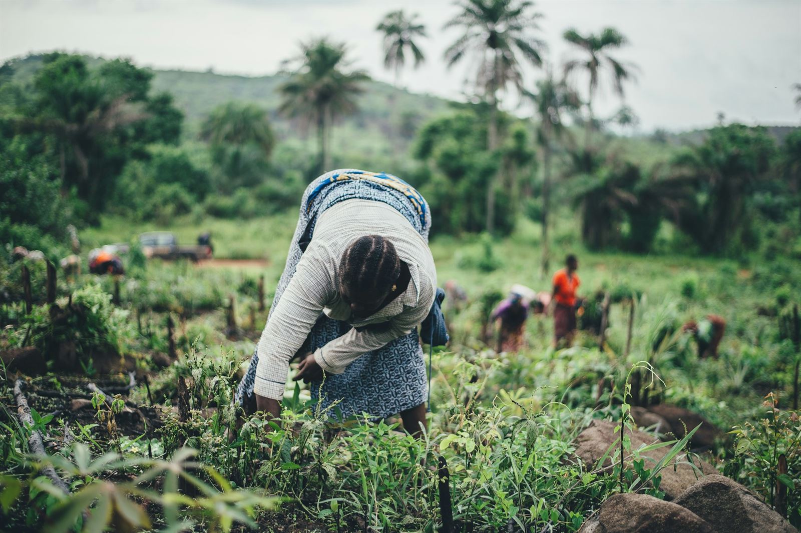 Climate-Smart Training