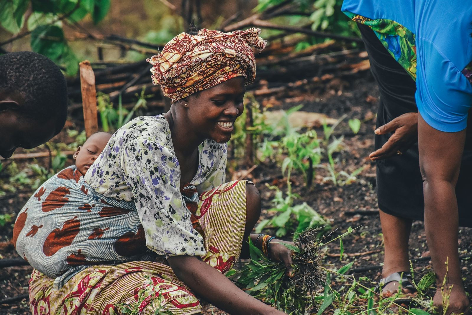 Empowering Farmers to Feed the Globe